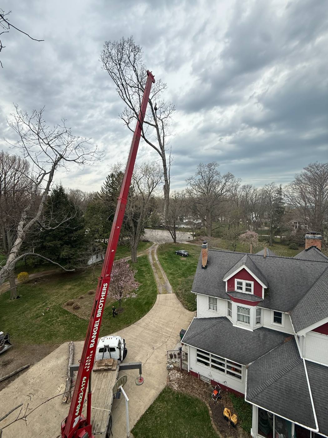 Crane reaching over a Victorian house to remove a tall dead trunk