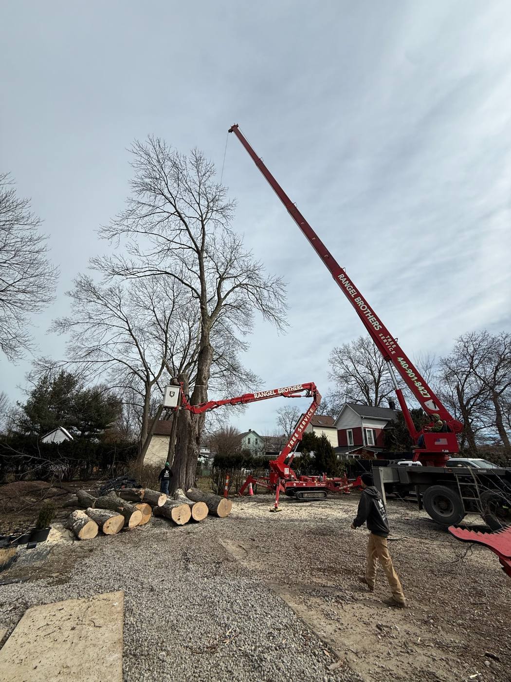 Rangel Brothers crew cutting a large trunk into sections beside the crane