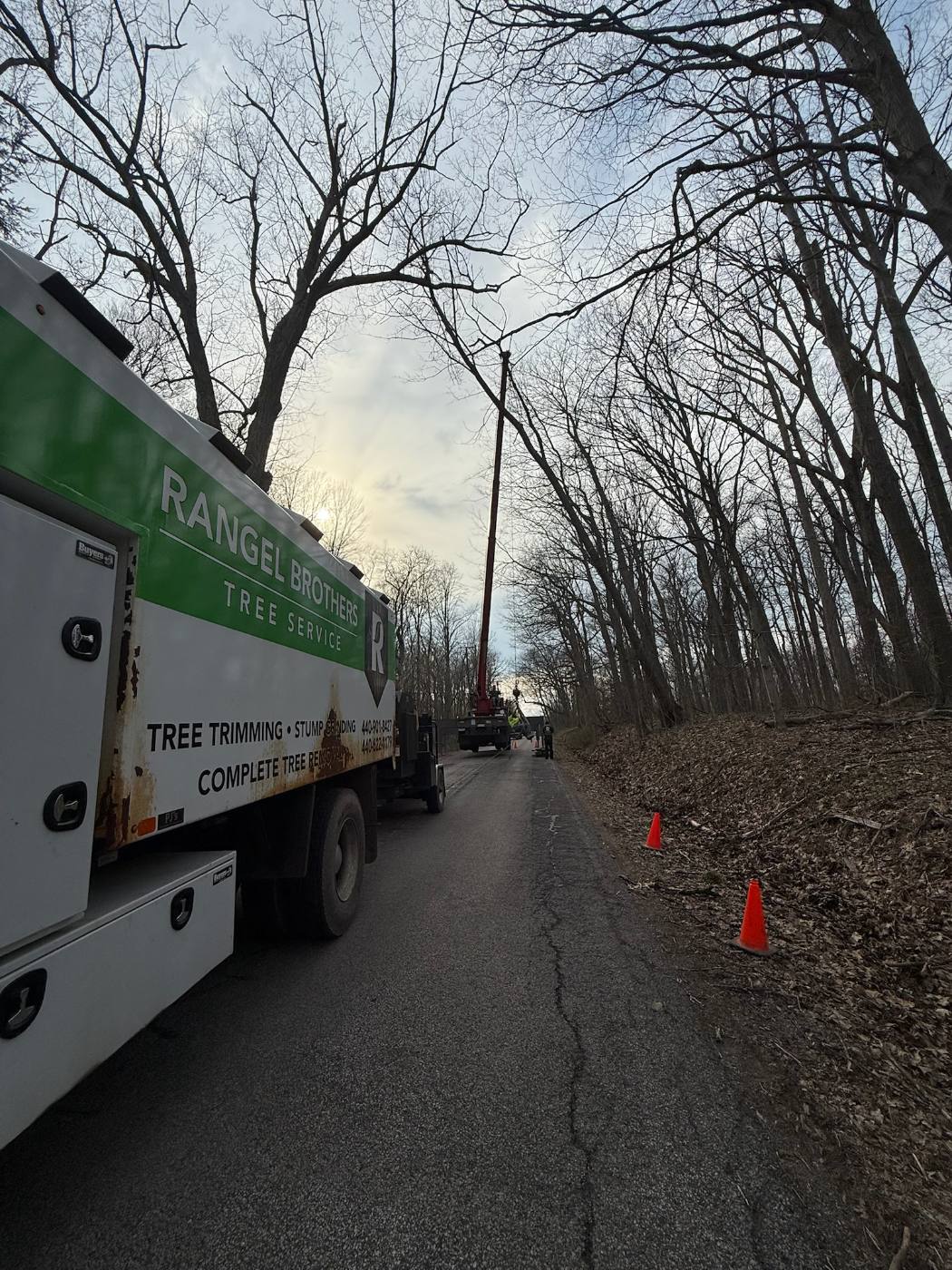Rangel Brothers service truck listing tree trimming, stump grinding and complete tree removal