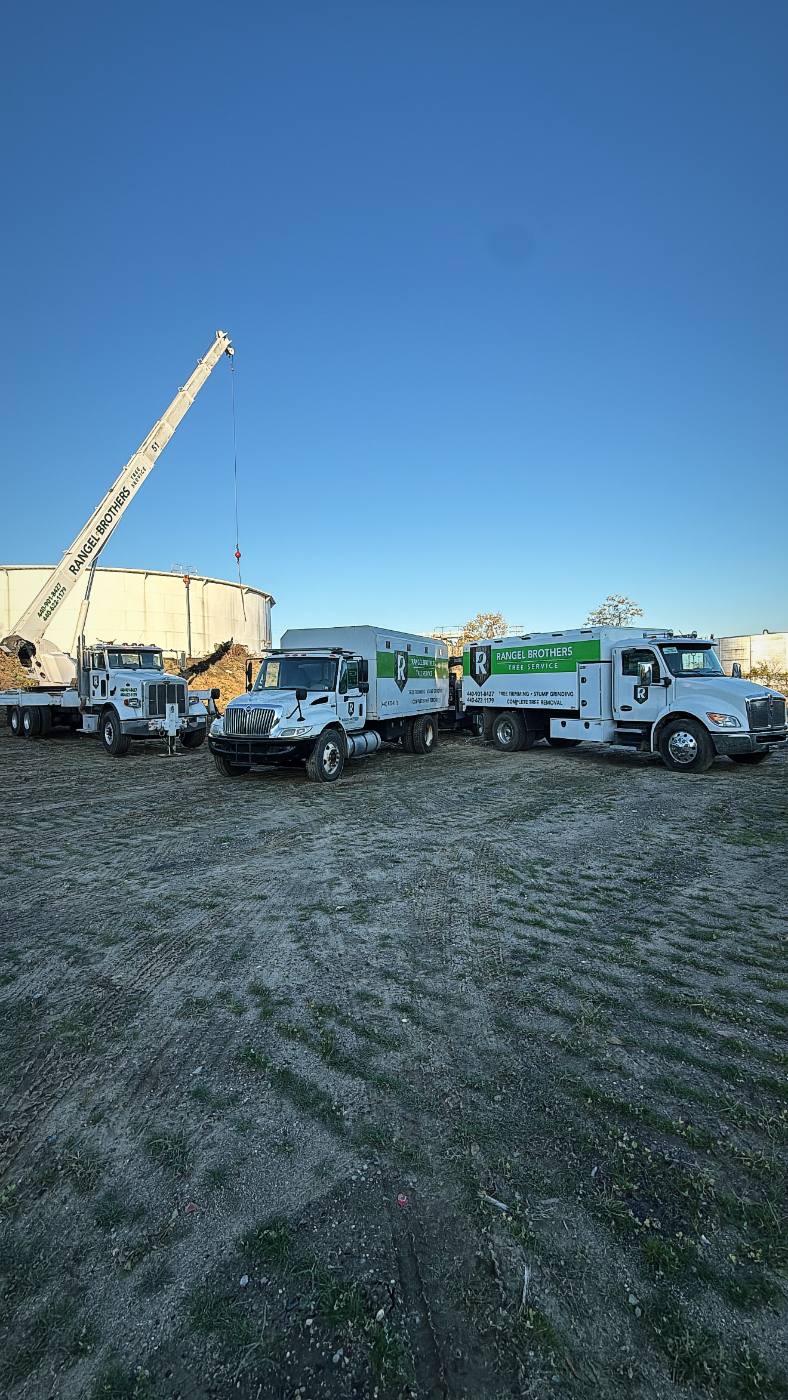 The Rangel Brothers fleet — crane truck, chip truck and service truck