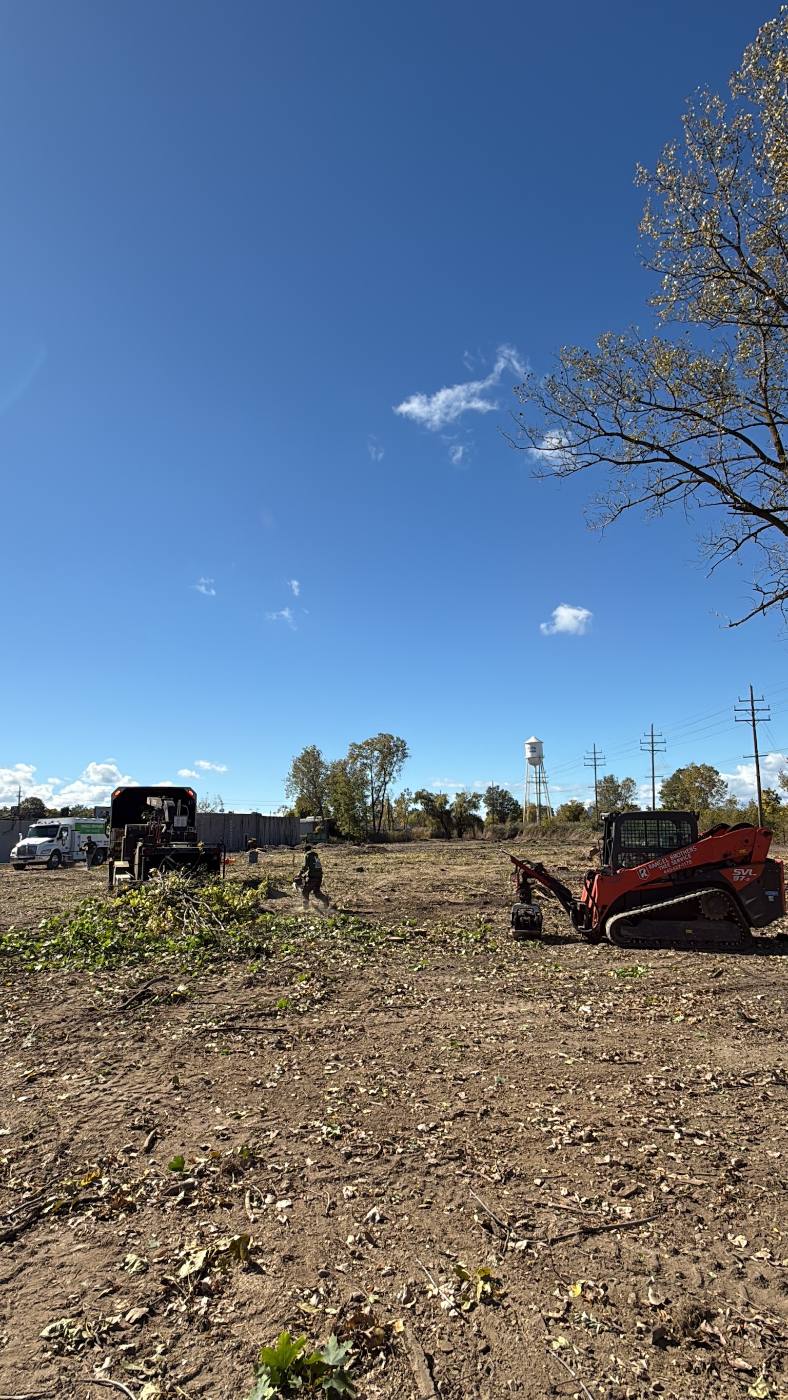 Rangel Brothers skid steer and chipper clearing debris from a work site