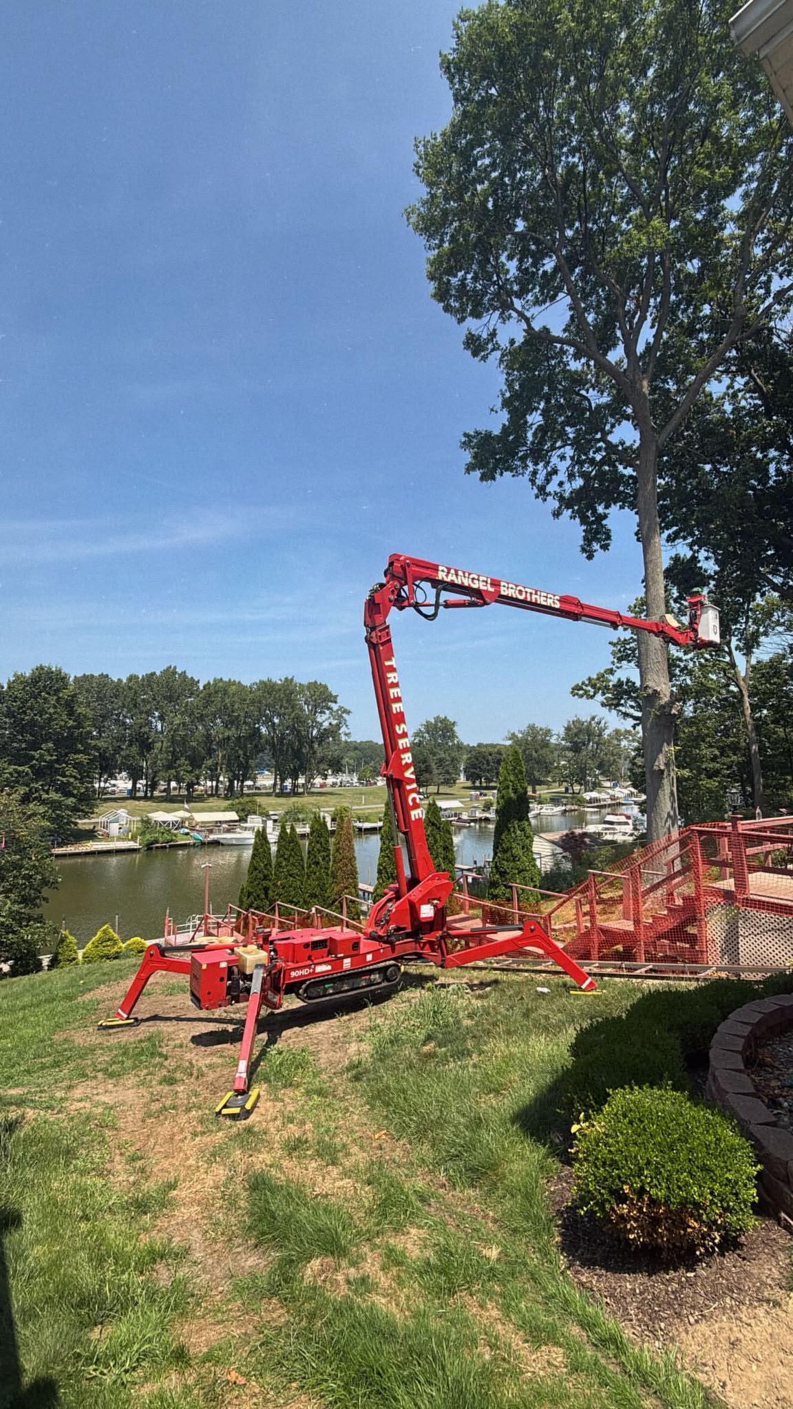 Red Rangel Brothers 90HD+ spider lift reaching into a tall oak above a marina Red Rangel Brothers 90HD+ spider lift reaching into a tall oak above a marina