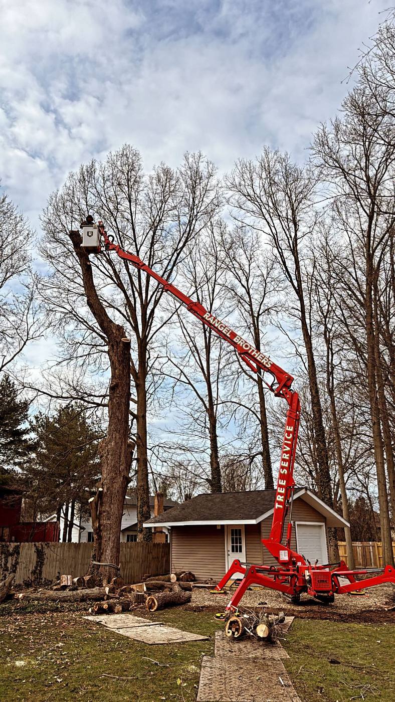 Spider lift sectioning a tall trunk in a fenced back yard