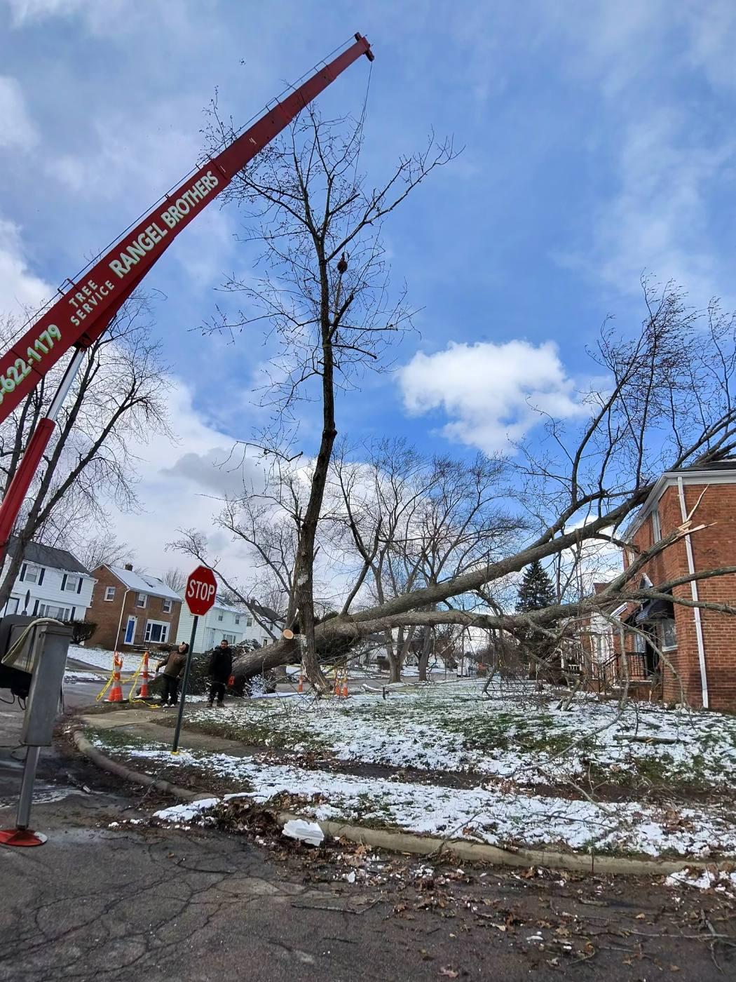 Storm-toppled tree lying across a brick house with the Rangel Brothers crane in position