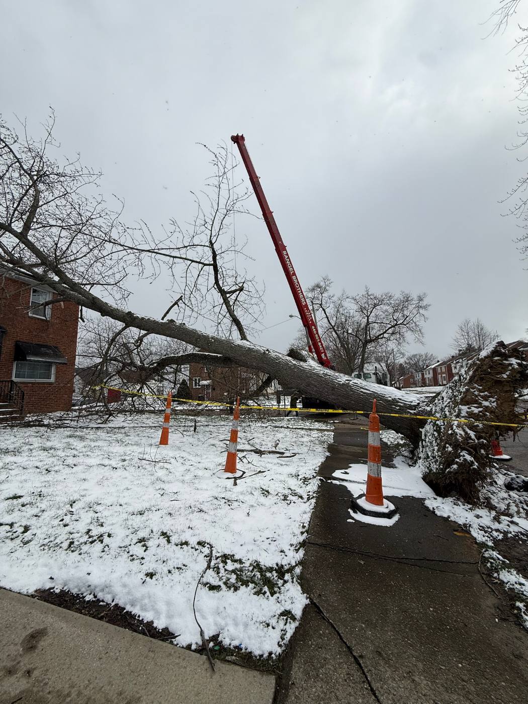 Rangel Brothers crane and cones set up around a tree that fell on a brick house in winter