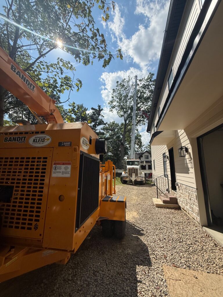 Tight access: getting real equipment to back-yard trees — Rangel Brothers Tree Service